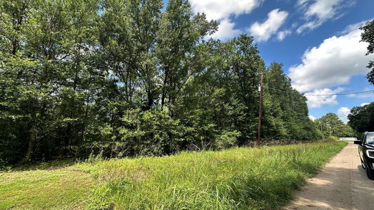 Livingston null-story, null-bed TBD Star Dust Drive-idx