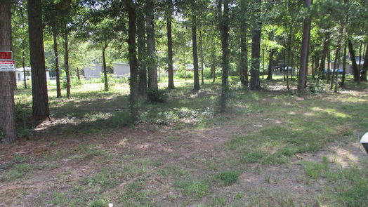 Livingston null-story, null-bed TBD Chatham Trail-idx