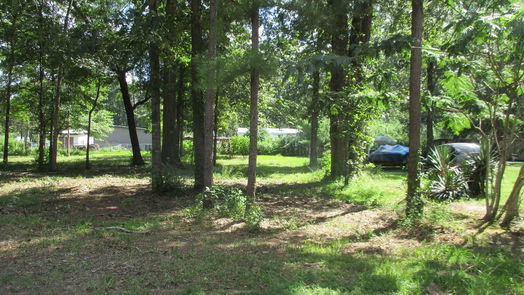 Livingston null-story, null-bed TBD Chatham Trail-idx