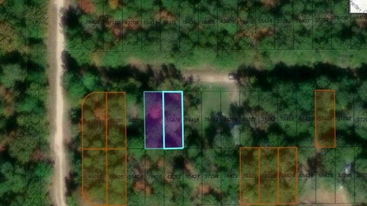 Livingston null-story, null-bed 00 Wake Forest-idx