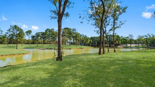 Livingston null-story, null-bed TBD10 Lake Cove Court-idx