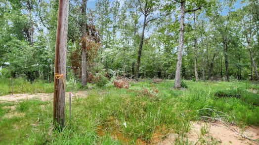 Livingston null-story, null-bed Lot 217 Ramblewood-idx