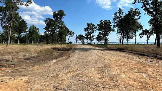 Livingston null-story, null-bed Lot 27 Island View Ranch Estates-idx