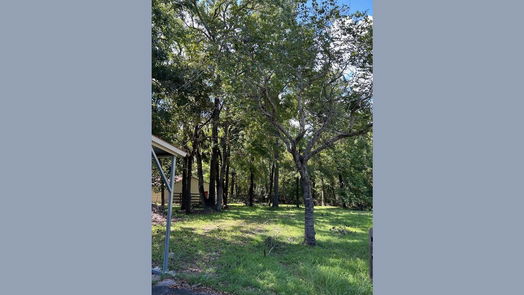 Livingston 1-story, 3-bed 450 Walnut Ridge Road-idx
