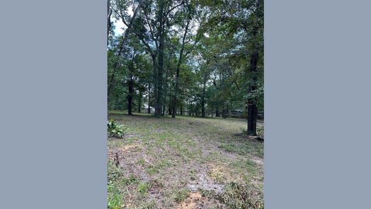 Livingston 1-story, 3-bed 450 Walnut Ridge Road-idx