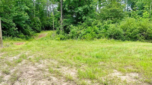 Livingston 1-story, 3-bed 2679 Oakdale Loop-idx