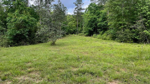 Livingston 1-story, 3-bed 2679 Oakdale Loop-idx