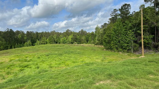 Livingston 1-story, 3-bed 2679 Oakdale Loop-idx