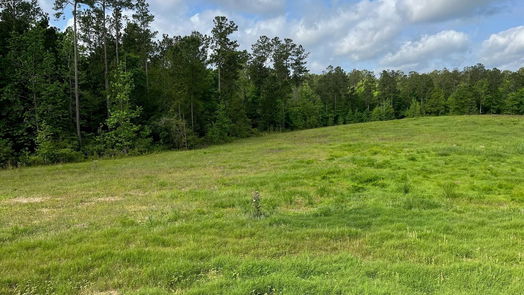 Livingston 1-story, 3-bed 2679 Oakdale Loop-idx