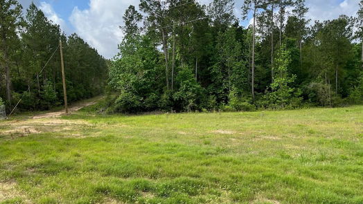 Livingston 1-story, 3-bed 2679 Oakdale Loop-idx