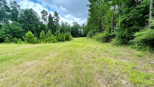 Livingston 1-story, 3-bed 2679 Oakdale Loop-idx