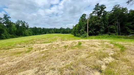 Livingston 1-story, 3-bed 2679 Oakdale Loop-idx