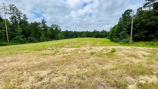 Livingston 1-story, 3-bed 2679 Oakdale Loop-idx