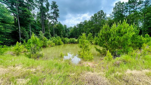 Livingston 1-story, 3-bed 2679 Oakdale Loop-idx