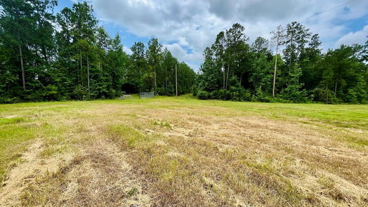 Livingston 1-story, 3-bed 2679 Oakdale Loop-idx