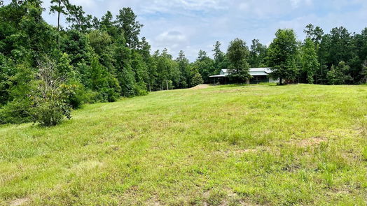 Livingston 1-story, 3-bed 2679 Oakdale Loop-idx