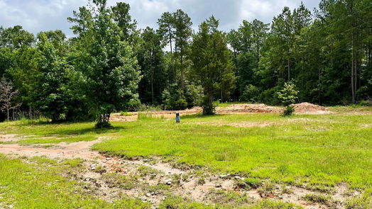 Livingston 1-story, 3-bed 2679 Oakdale Loop-idx