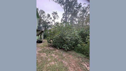 Livingston 2-story, 3-bed 230 Tiki Trail-idx