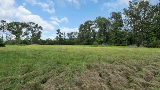 Livingston 1-story, 3-bed 231 Isaac Lane-idx