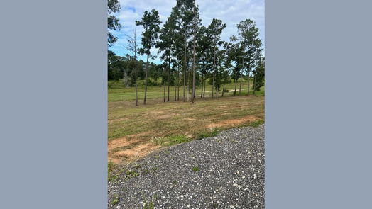 Livingston null-story, null-bed Lot 37 Anna Grace Road-idx