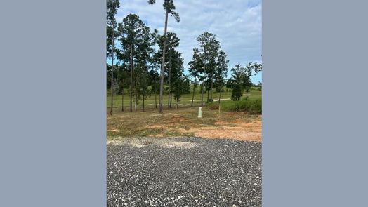 Livingston null-story, null-bed Lot 37 Anna Grace Road-idx