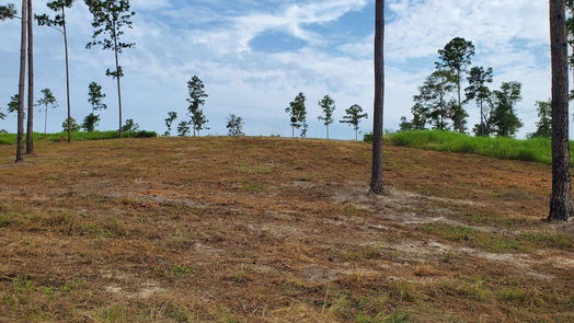Livingston null-story, null-bed Lot 37 Anna Grace Road-idx