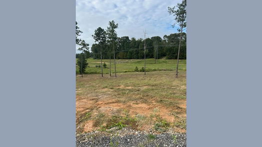 Livingston null-story, null-bed Lot 37 Anna Grace Road-idx