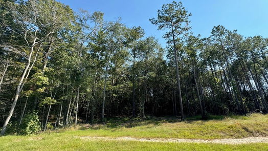 Livingston null-story, null-bed Lot 1 Stonebrook Drive-idx