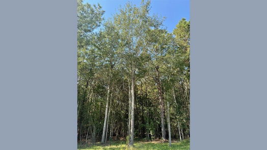 Livingston null-story, null-bed Lot 8 Stonebrook Drive-idx