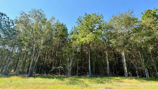Livingston null-story, null-bed Lot 8 Stonebrook Drive-idx