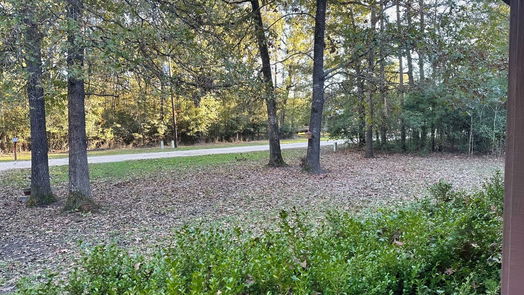 Livingston 1-story, 2-bed 207 Sparrow Hawk Drive-idx