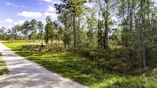 Livingston null-story, null-bed 922 Rolling Pines Drive-idx