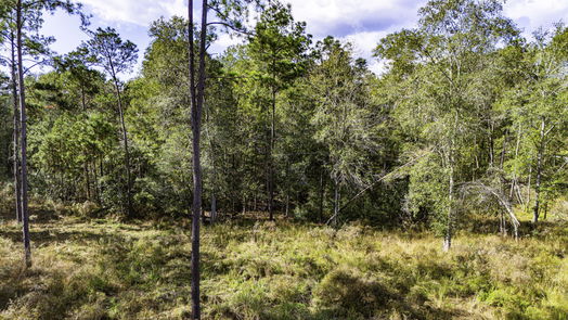 Livingston null-story, null-bed 922 Rolling Pines Drive-idx