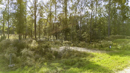 Livingston null-story, null-bed 922 Rolling Pines Drive-idx
