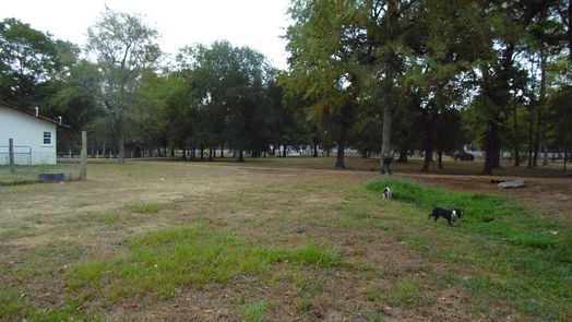 Magnolia null-story, null-bed 0 Roberts Trail-idx