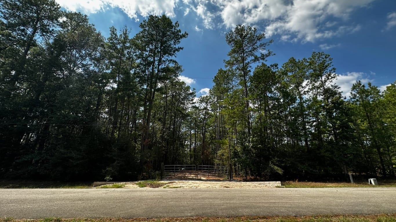 Magnolia null-story, null-bed 30903 Carrington Drive-idx