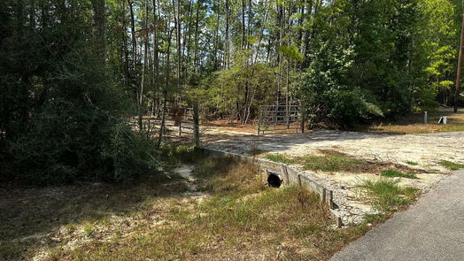 Magnolia null-story, null-bed 30903 Carrington Drive-idx