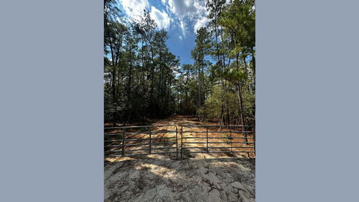 Magnolia null-story, null-bed 30903 Carrington Drive-idx