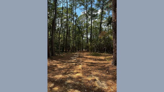Magnolia null-story, null-bed 30903 Carrington Drive-idx