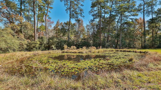 Magnolia 1-story, 5-bed 10119 Caddo Trail-idx