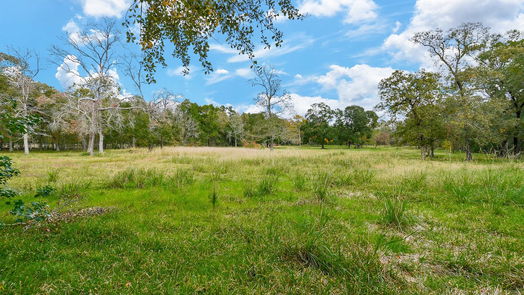 Magnolia 3-story, 4-bed 28602 Dobbin Huffsmith Road-idx