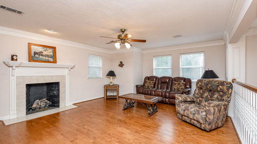 Magnolia 3-story, 4-bed 28602 Dobbin Huffsmith Road-idx