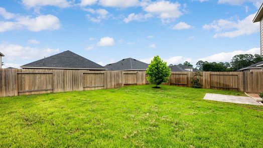 Magnolia 2-story, 4-bed 10042 Cottontail Court-idx