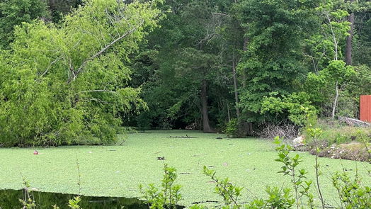 Magnolia null-story, null-bed 37135 Azalea Trail-idx