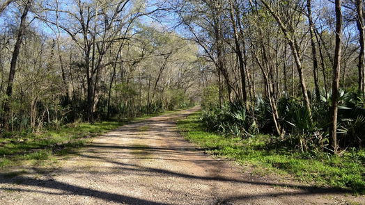 Magnolia null-story, null-bed Lot 7 Lake Ck Ranchettes-idx