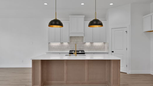 Magnolia 1-story, 3-bed 28910 Champion Oaks Drive-idx
