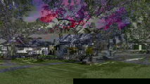 Magnolia-1