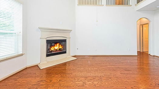 The Woodlands 2-story, 4-bed 210 Black Swan Place-idx