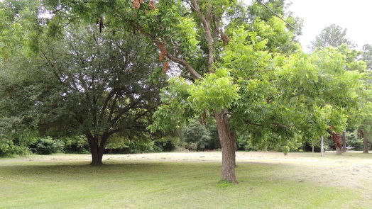 Magnolia null-story, null-bed 219 6th STREET-idx