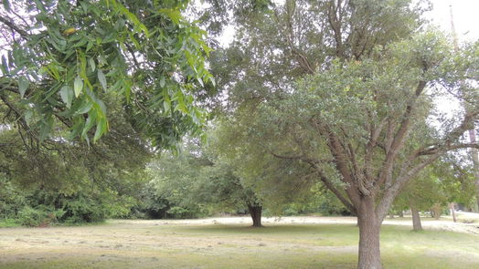 Magnolia null-story, null-bed 219 6th STREET-idx